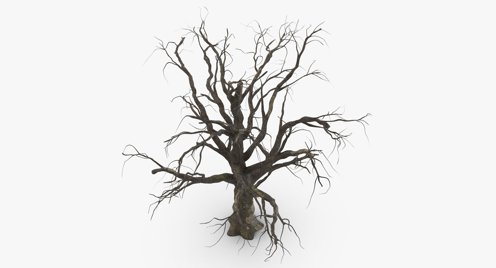 3d model old dead tree 01 https://p.turbosquid.com/ts-thumb/uq/q4fLLH/MgW6SDAP/old_dead_tree_01_thumbnail_0005/jpg/1481471838/1920x1080/fit_q87/1afe2cb2eee3050da1397394575a1c8223772702/old_dead_tree_01_thumbnail_0005.jpg