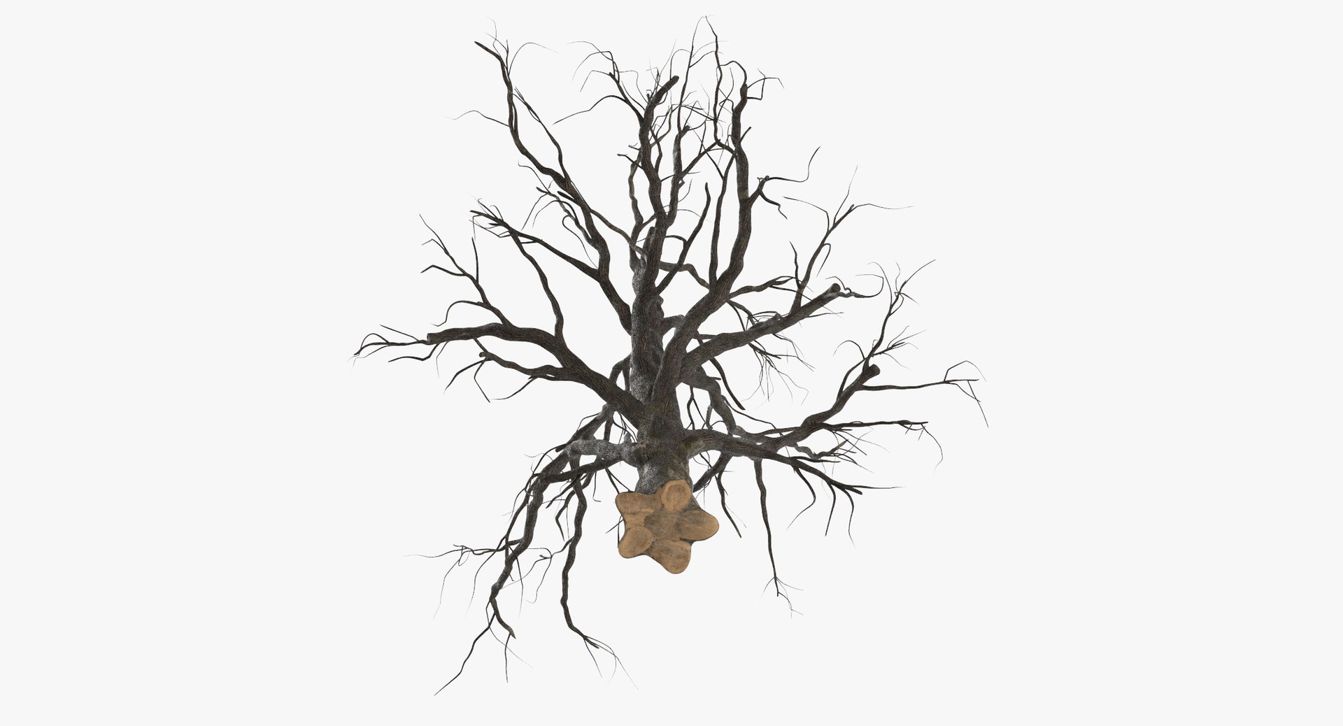 3d model old dead tree 01 https://p.turbosquid.com/ts-thumb/uq/q4fLLH/QpnXM5kC/old_dead_tree_01_thumbnail_0006/jpg/1481471838/1920x1080/fit_q87/9b8d666dfffc661d3b641471e6bed91d07f3cb91/old_dead_tree_01_thumbnail_0006.jpg
