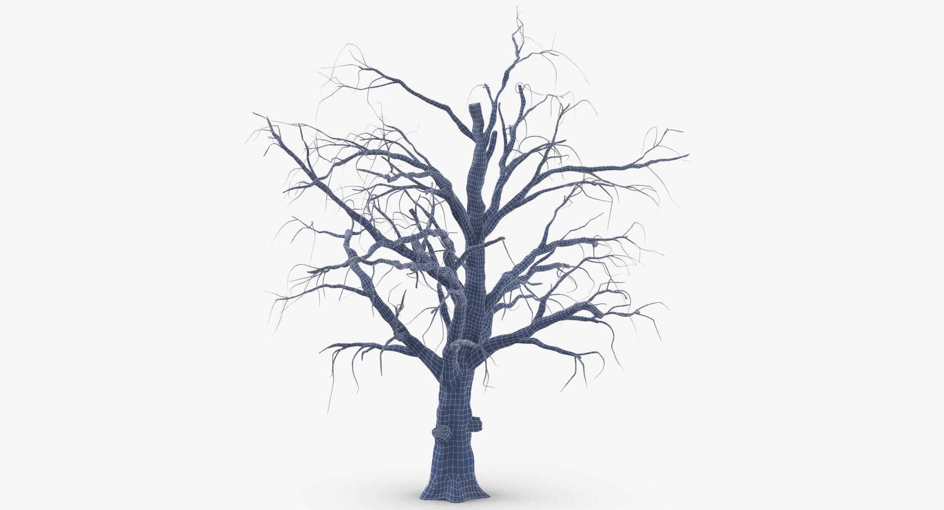 3d model old dead tree 01 https://p.turbosquid.com/ts-thumb/uq/q4fLLH/hoDnzg4Y/old_dead_tree_01_wireframe_0001/jpg/1481471838/1920x1080/fit_q87/99f18903b6e371d26a1e444cfe03b52d1738fe7e/old_dead_tree_01_wireframe_0001.jpg