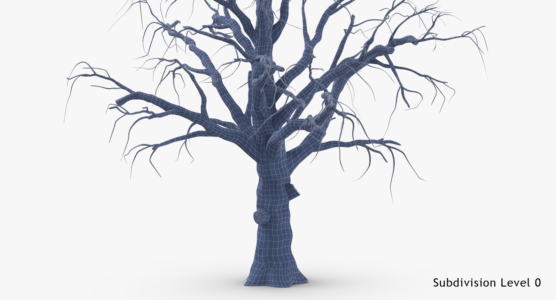 3d model old dead tree 01 https://p.turbosquid.com/ts-thumb/uq/q4fLLH/uPn65pKX/old_dead_tree_01_wireframe_subdiv0/jpg/1481471838/1920x1080/fit_q87/b578423702a6f54c6f39f4a158d2c341be0e7532/old_dead_tree_01_wireframe_subdiv0.jpg