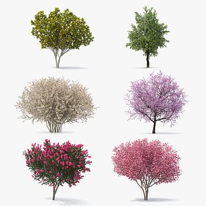 Flowering Bushes and Trees Collection 3