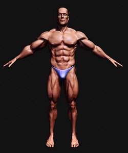 man human culturist 3d model