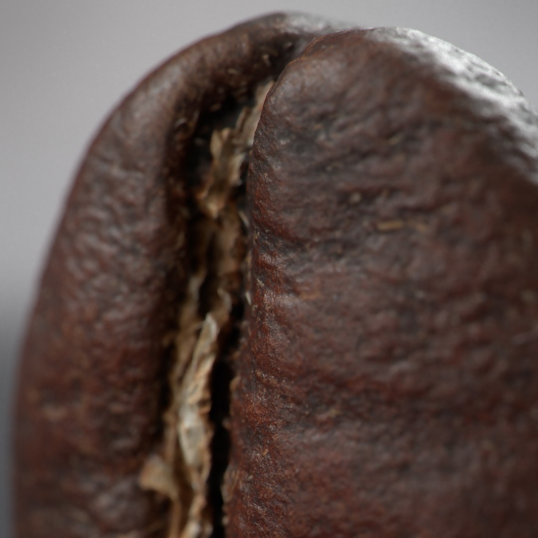 3D scan coffee beans model https://p.turbosquid.com/ts-thumb/ur/5XZLUK/IQxQIiyZ/coffee_bean_9/jpg/1542936317/1920x1080/fit_q87/1cfbac796600200ae97ae73a927f81347746bf81/coffee_bean_9.jpg