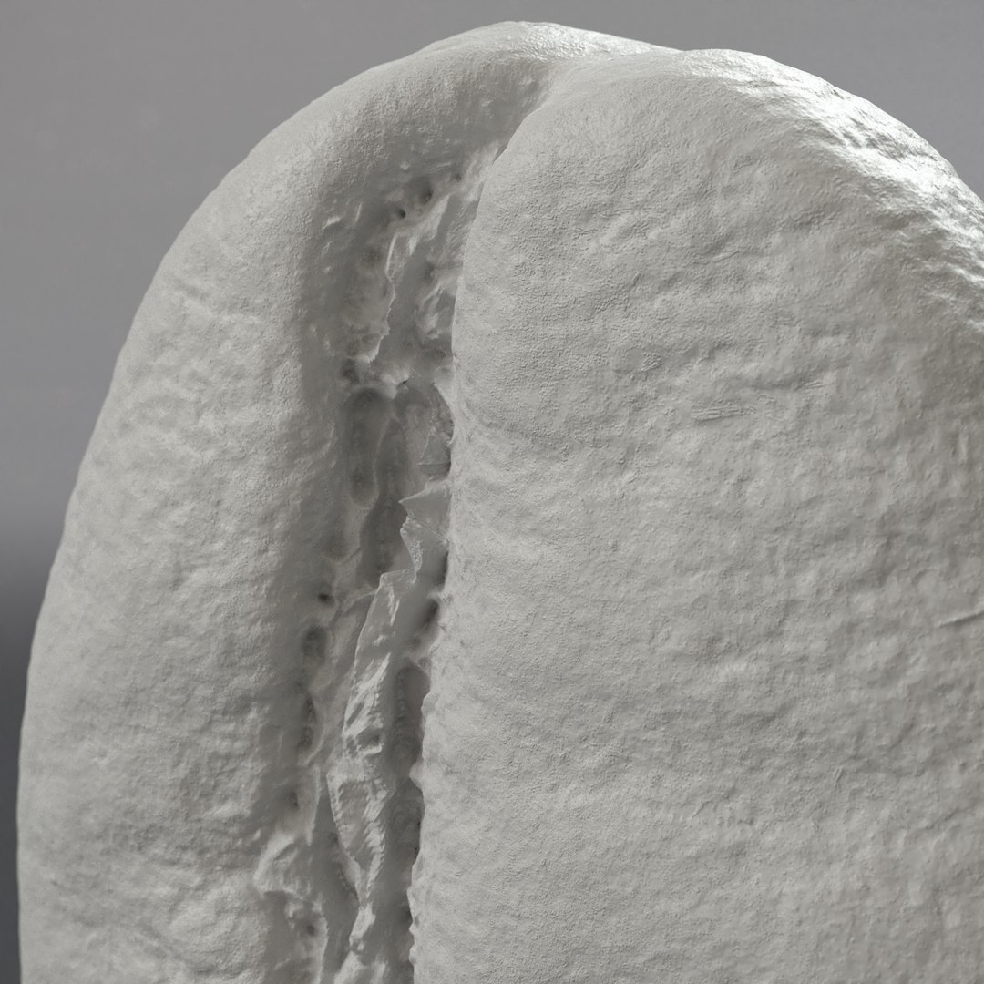 3D scan coffee beans model https://p.turbosquid.com/ts-thumb/ur/5XZLUK/t4TKmEWV/coffee_bean_grey_9/jpg/1542936359/1920x1080/fit_q87/e911a07aa212ecc7b301e8d23d1ddc2ce7c29c07/coffee_bean_grey_9.jpg