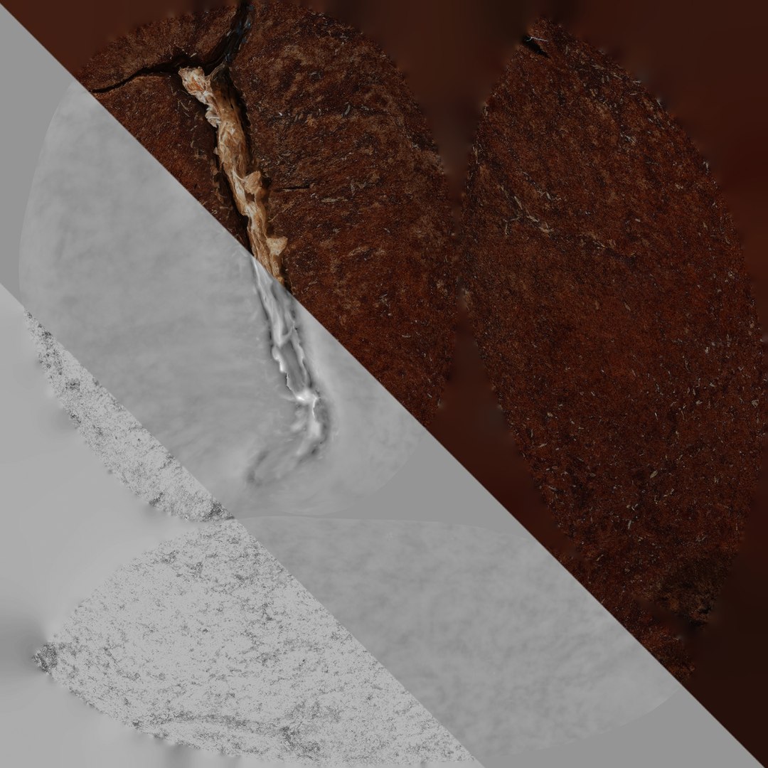 3D scan coffee beans model https://p.turbosquid.com/ts-thumb/ur/5XZLUK/uqSlMron/texture/jpg/1542936855/1920x1080/fit_q87/a0c208ee266d6ba5a0597bf63b3eeb51847fefb3/texture.jpg