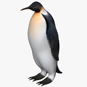 emperor penguin 3D model