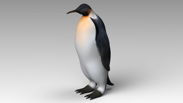 皇帝ペンギン3Dモデル - TurboSquid 1481217