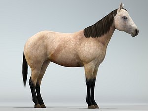 3ds realistic horse