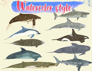 Low Poly Big Fish Illustration Collection Animated - Game Ready