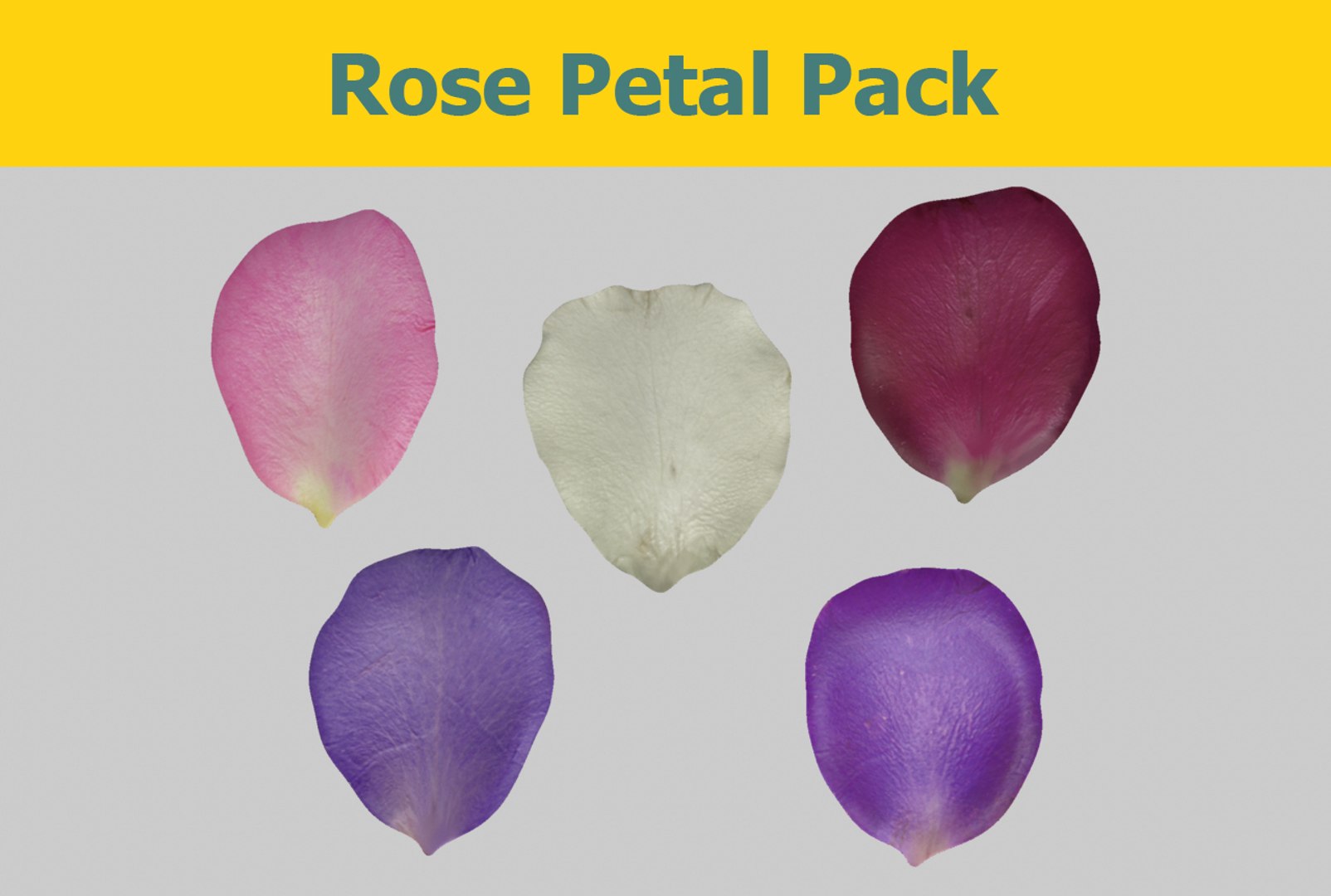 Materials Science Advance Brings A Rose Petal's Natural Texture To Metallic  Structures