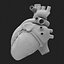 Human Heart