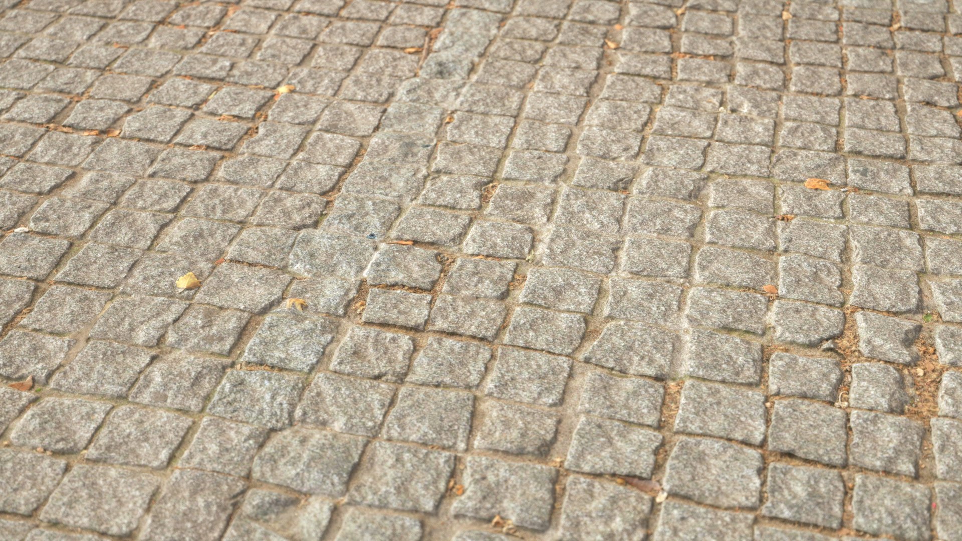 Real Floors 3D https://p.turbosquid.com/ts-thumb/ur/jFlM7K/0o/vpcobblestonefloor5cam2/jpg/1695551802/1920x1080/fit_q87/a31cea363bbf6083776a9019ae2b1a678118df50/vpcobblestonefloor5cam2.jpg