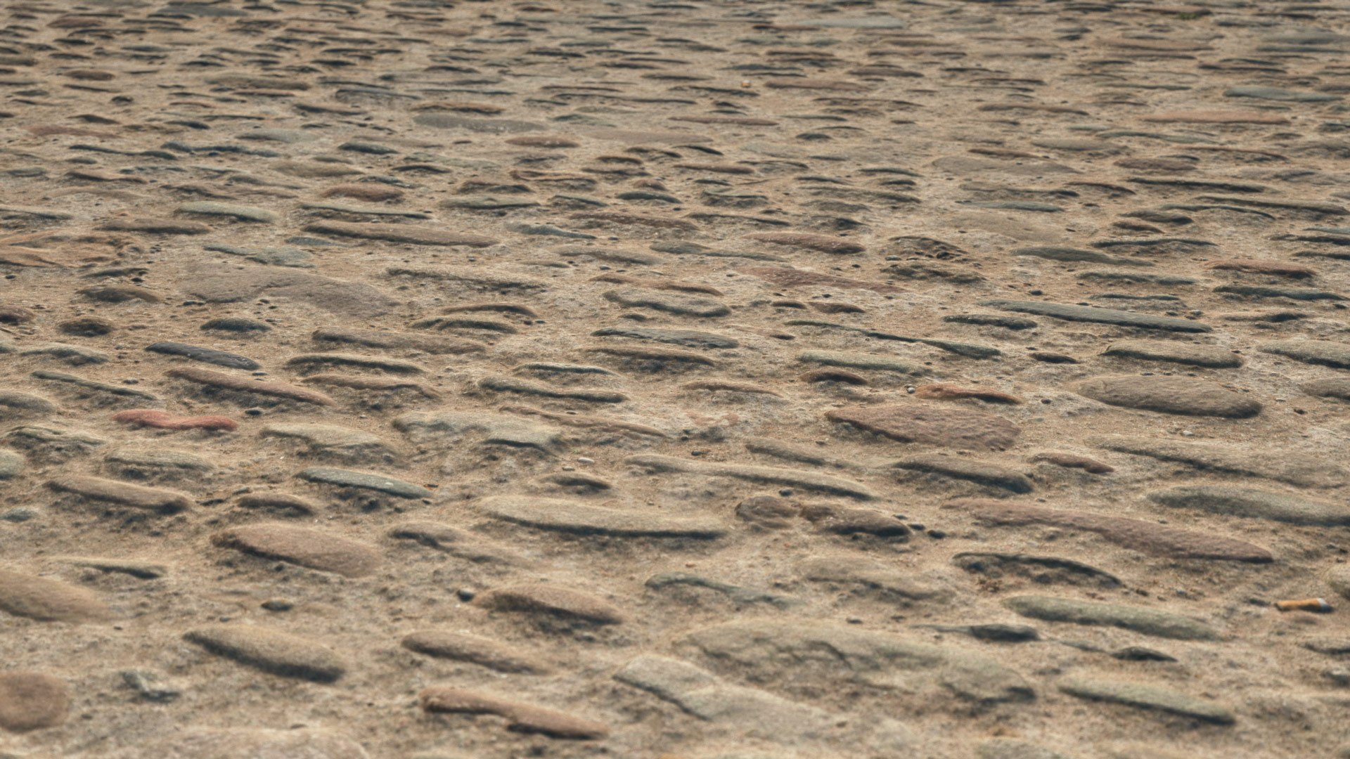 Real Floors 3D https://p.turbosquid.com/ts-thumb/ur/jFlM7K/jD/vpcobblestonefloor2cam1/jpg/1695551794/1920x1080/fit_q87/dbafc5cff3803864586bb6ad77133bbe38bcad33/vpcobblestonefloor2cam1.jpg