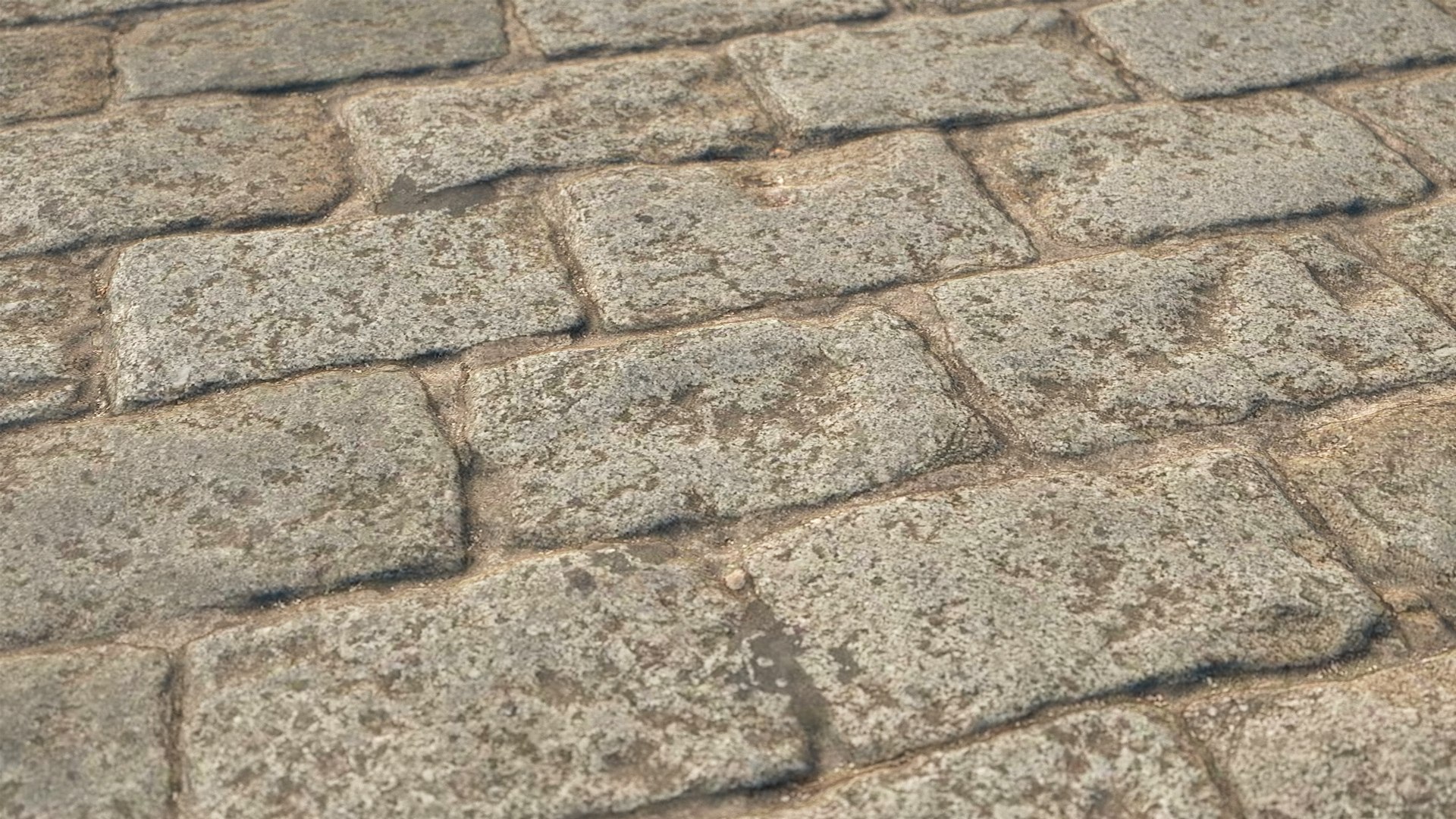 Real Floors 3D https://p.turbosquid.com/ts-thumb/ur/jFlM7K/lY/vpcobblestonefloor1cam2/jpg/1695551794/1920x1080/fit_q87/5feae5632cbf65d6510b3d863227b309c8bf2baf/vpcobblestonefloor1cam2.jpg