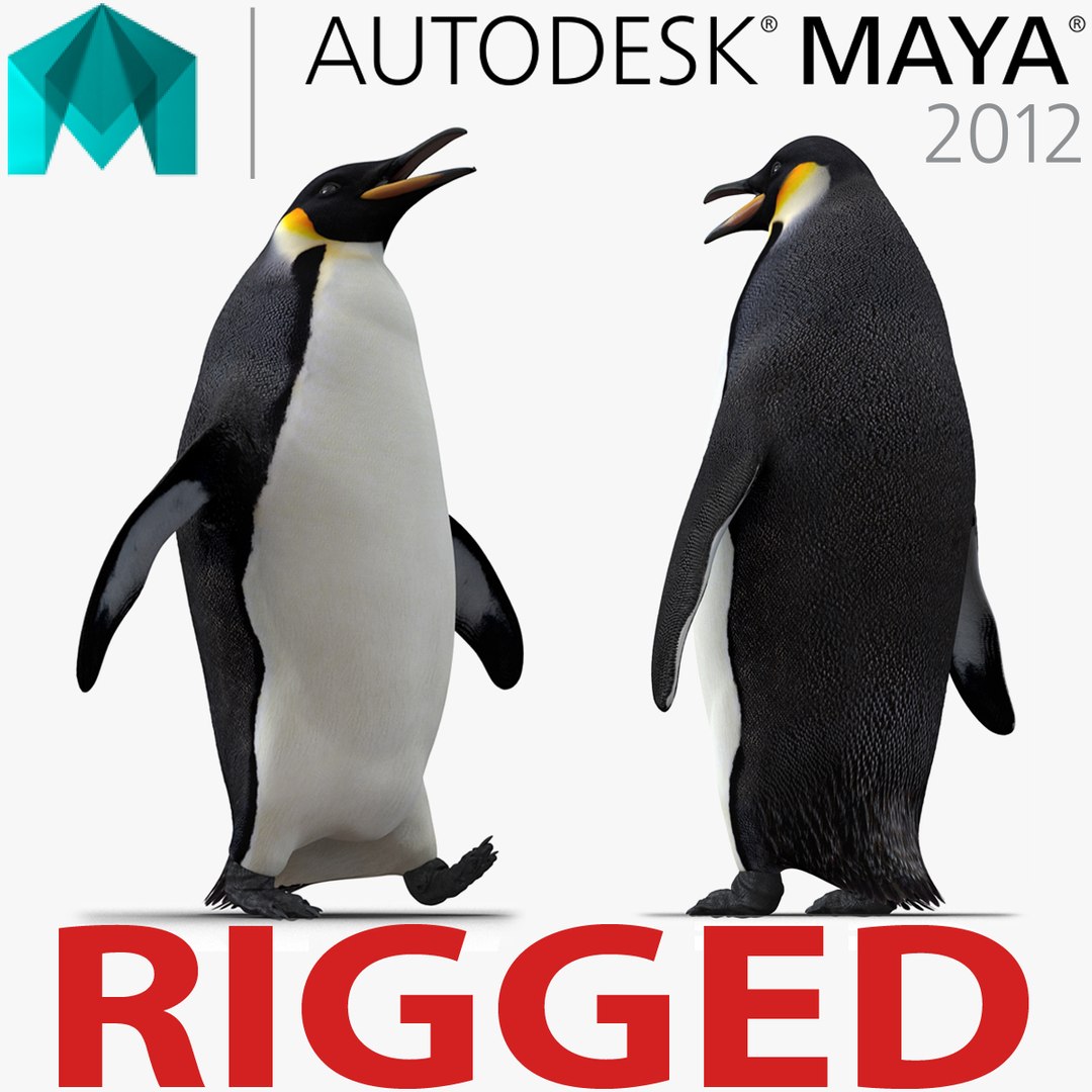 Penguin Rigged for Maya 3D model preview