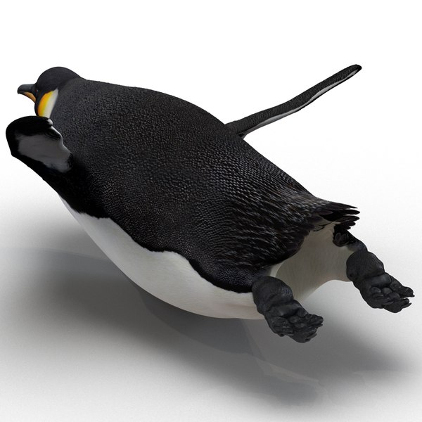 3d penguin rigged