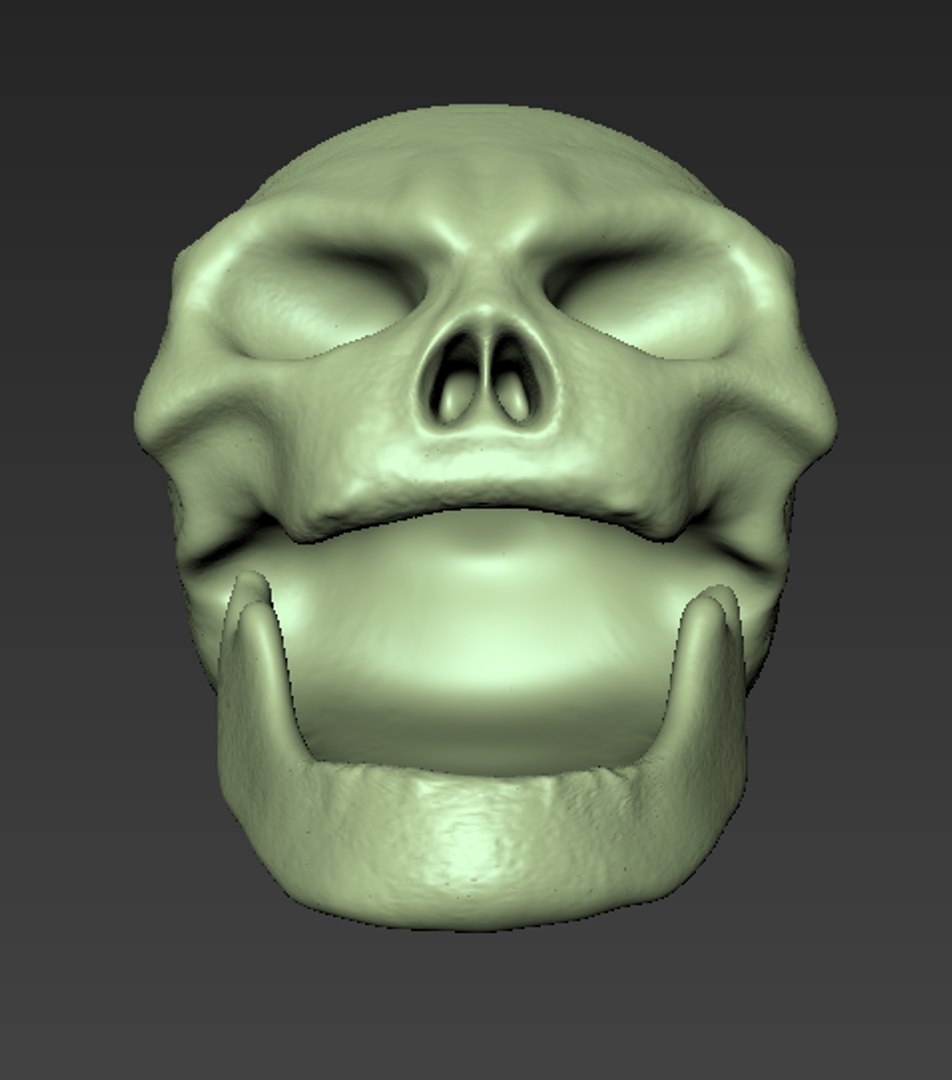 3d Skull Mudbox