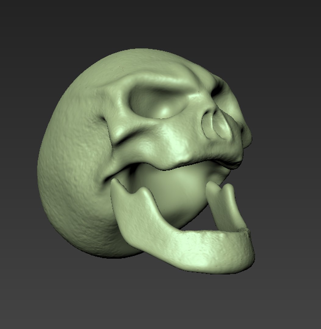 3d Skull Mudbox