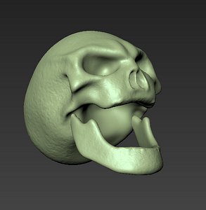 3d skull mudbox