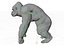 Gorila King Kong