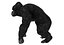 Gorila King Kong