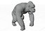 Gorila King Kong