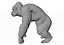 Gorila King Kong