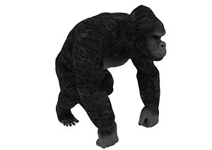 Gorilla King Kong