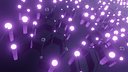 Network Concept Environment