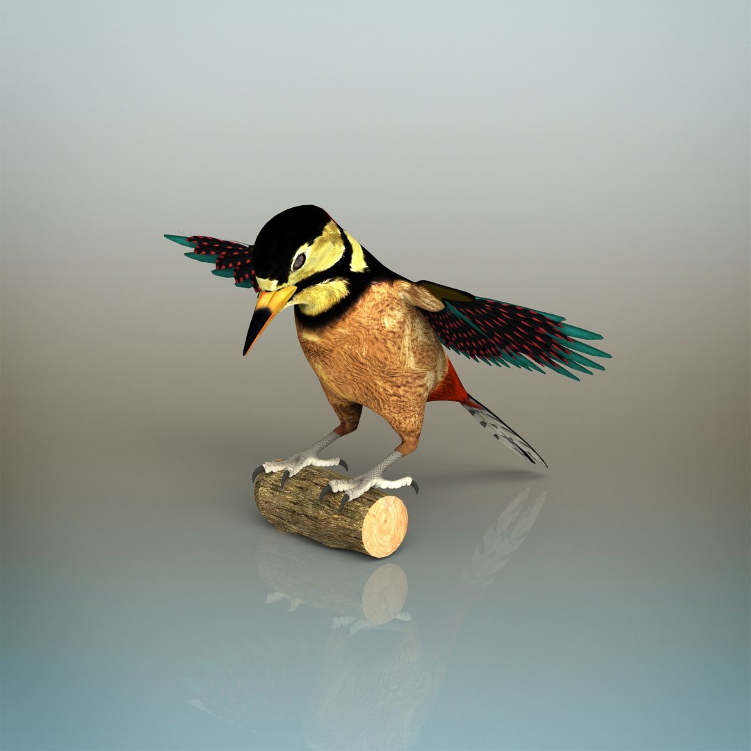 啄木鸟3d模型