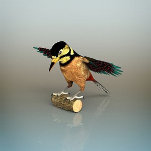 woodpecker bird model