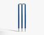 Modern Cricket Wickets