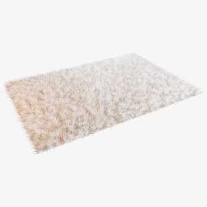 3D furry rug model