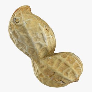 Peanut Shell 02