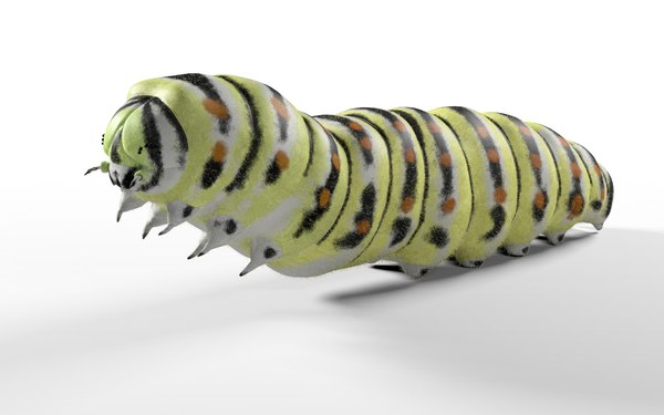 caterpillar3.jpg