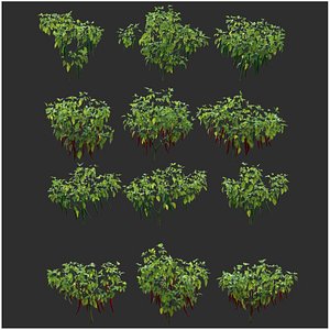 3D Chilli Collection vol02