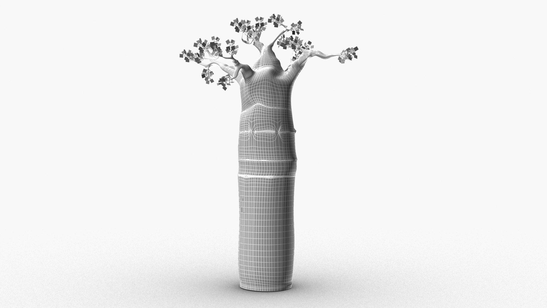 3D Baobab Tree Model - TurboSquid 1626455