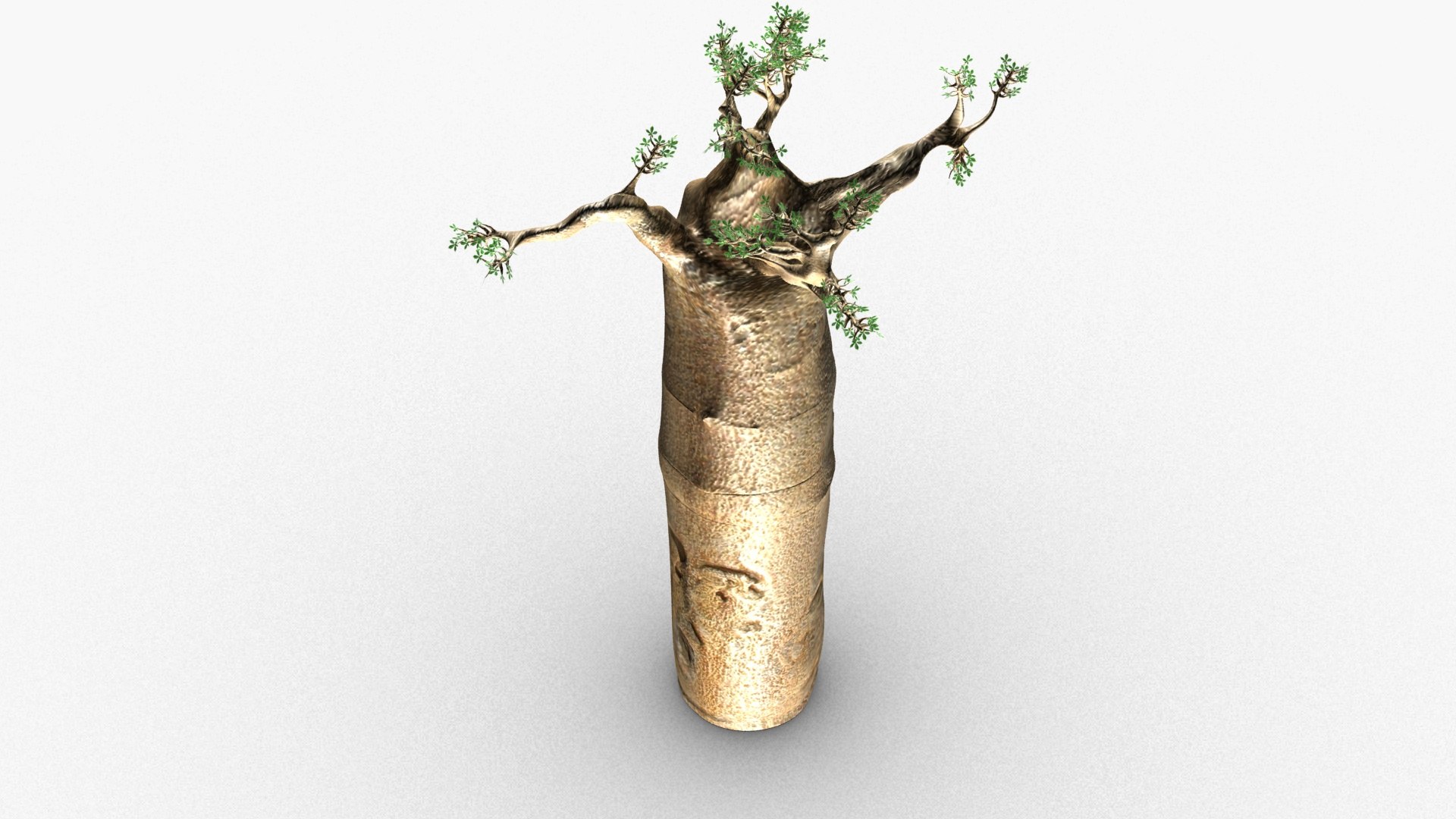 3D Baobab Tree Model - TurboSquid 1626455