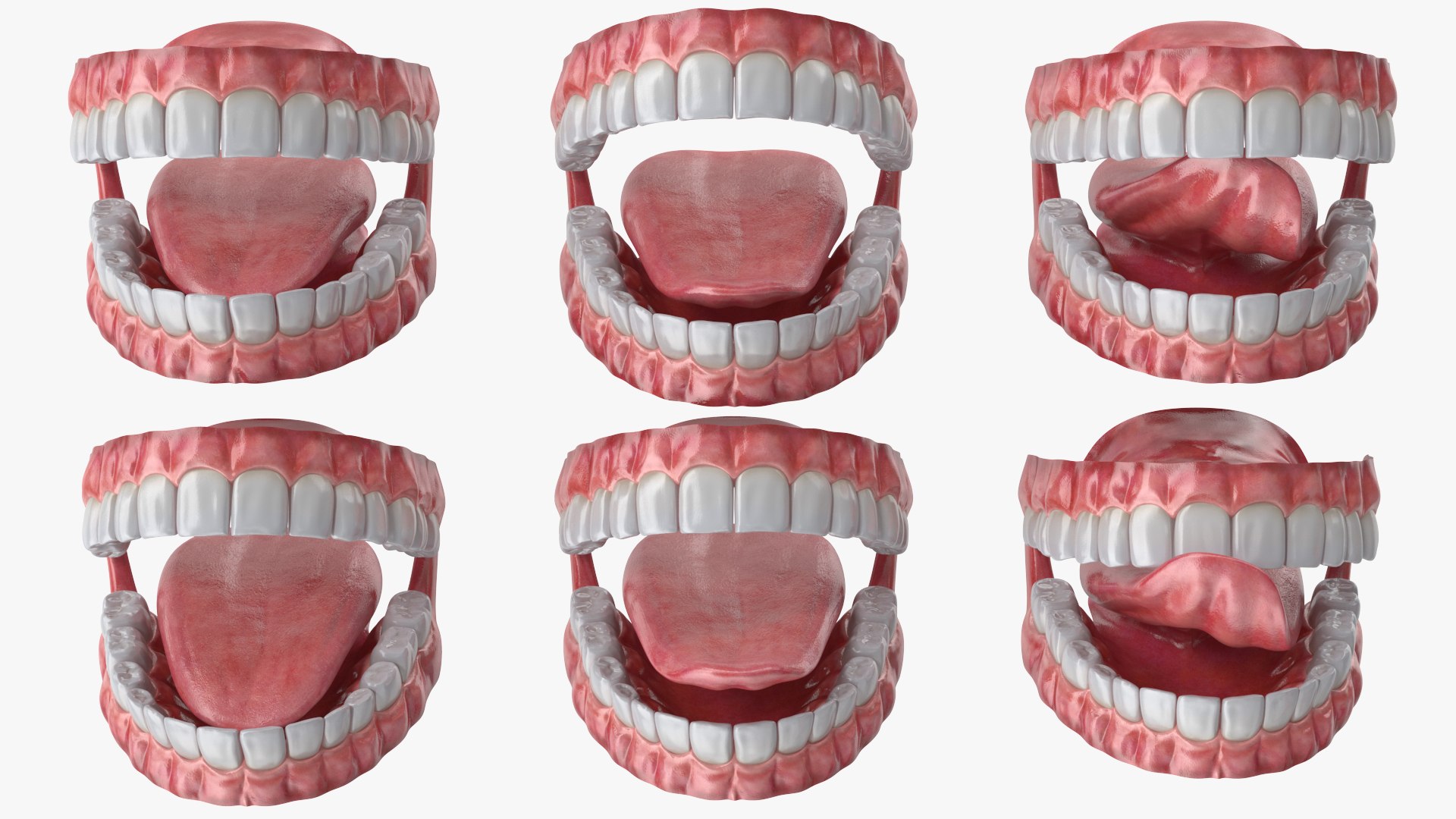 Witch 2 3D model https://p.turbosquid.com/ts-thumb/us/rgyiXW/sU/angles_64/jpg/1697561790/1920x1080/fit_q87/7674a3deb9b822a92c31d0ee232fc8c75bde565f/angles_64.jpg