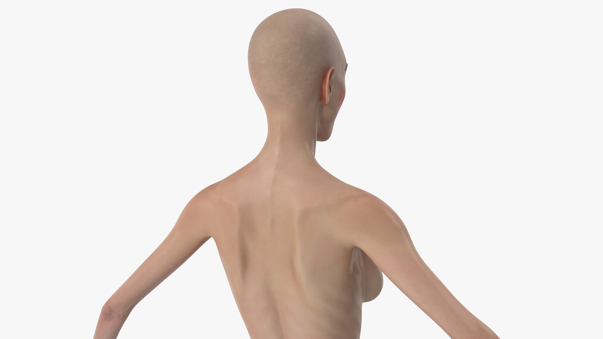 Witch 2 3D model https://p.turbosquid.com/ts-thumb/us/rgyiXW/sl/angles_23/jpg/1697561117/1920x1080/fit_q87/c85728d49443eef4e44a554075833298f2af3fb1/angles_23.jpg