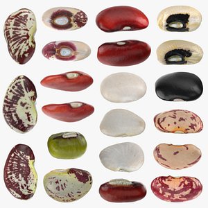 Beans - 3D Scanned Collection