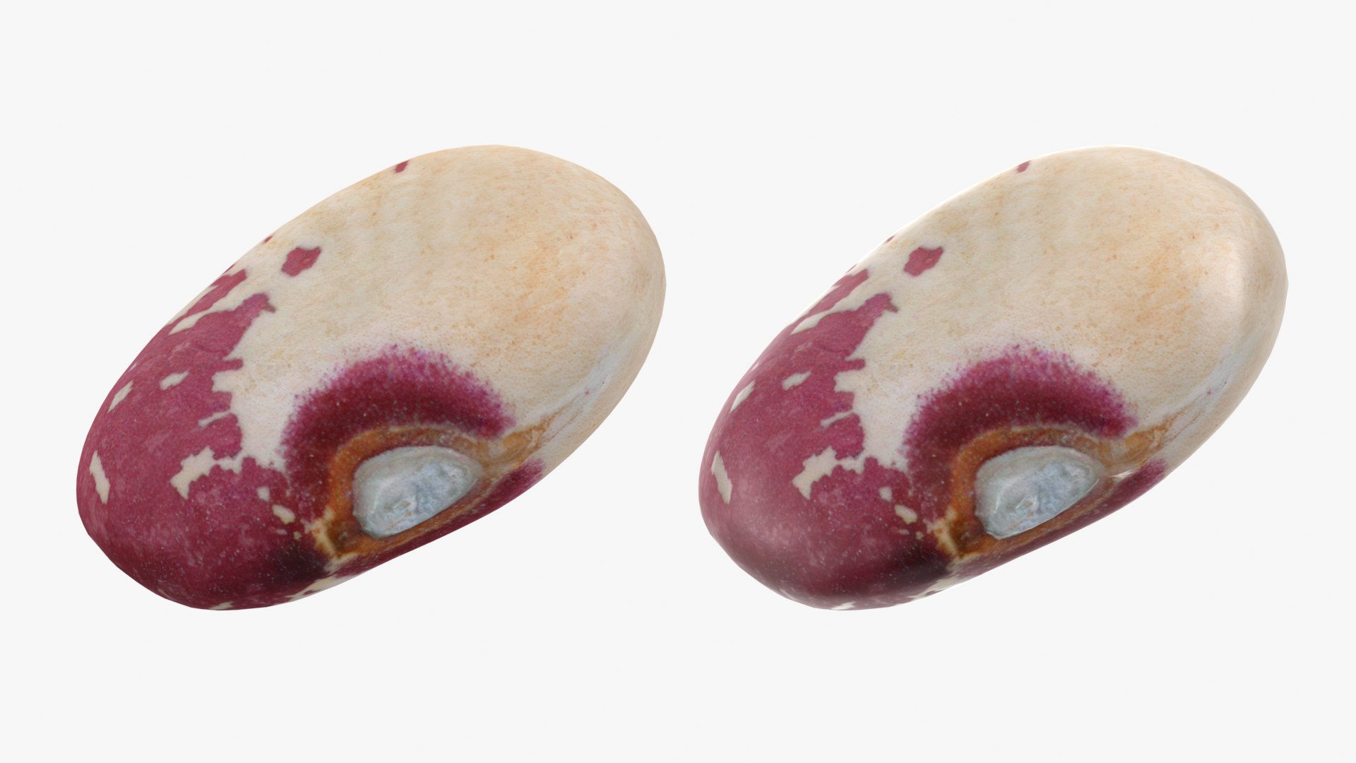 Beans - 3D Scanned Collection 3D model https://p.turbosquid.com/ts-thumb/us/tSFc0h/G2/tongueoffire02_0001b/png/1778171795/1920x1080/fit_q87/d4588555f73ae26c89a9b813af9ebe7b39b4293c/tongueoffire02_0001b.jpg