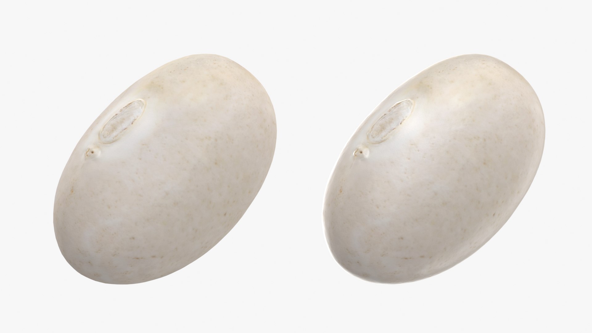 Beans - 3D Scanned Collection 3D model https://p.turbosquid.com/ts-thumb/us/tSFc0h/bx/navybean01_0001b/png/1778171778/1920x1080/fit_q87/168ba62f2a04a39b2da8b48e150e429909bf0a00/navybean01_0001b.jpg