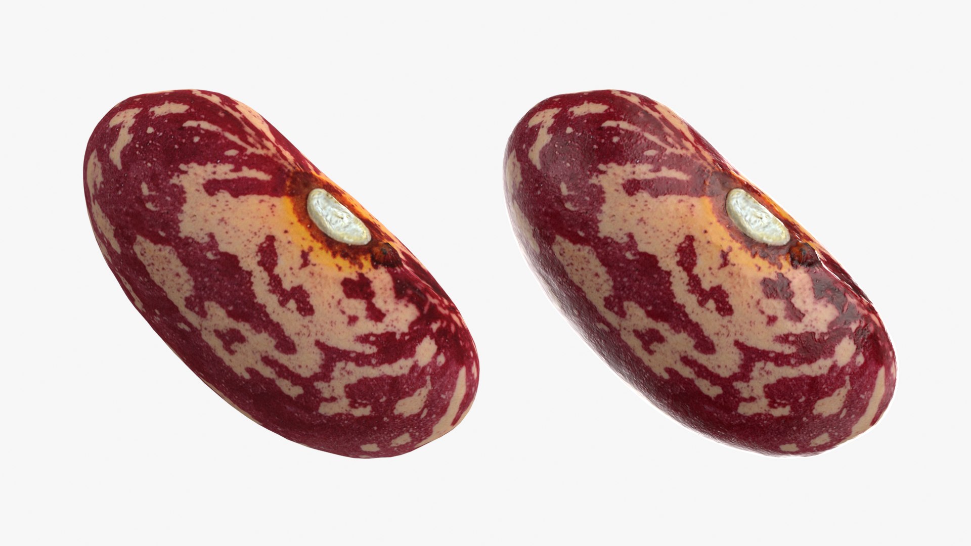 Beans - 3D Scanned Collection 3D model https://p.turbosquid.com/ts-thumb/us/tSFc0h/nx/cranberrybean_0001b/png/1778171762/1920x1080/fit_q87/951a18d5f151939ed0c330058f565baf3e5f5f4a/cranberrybean_0001b.jpg