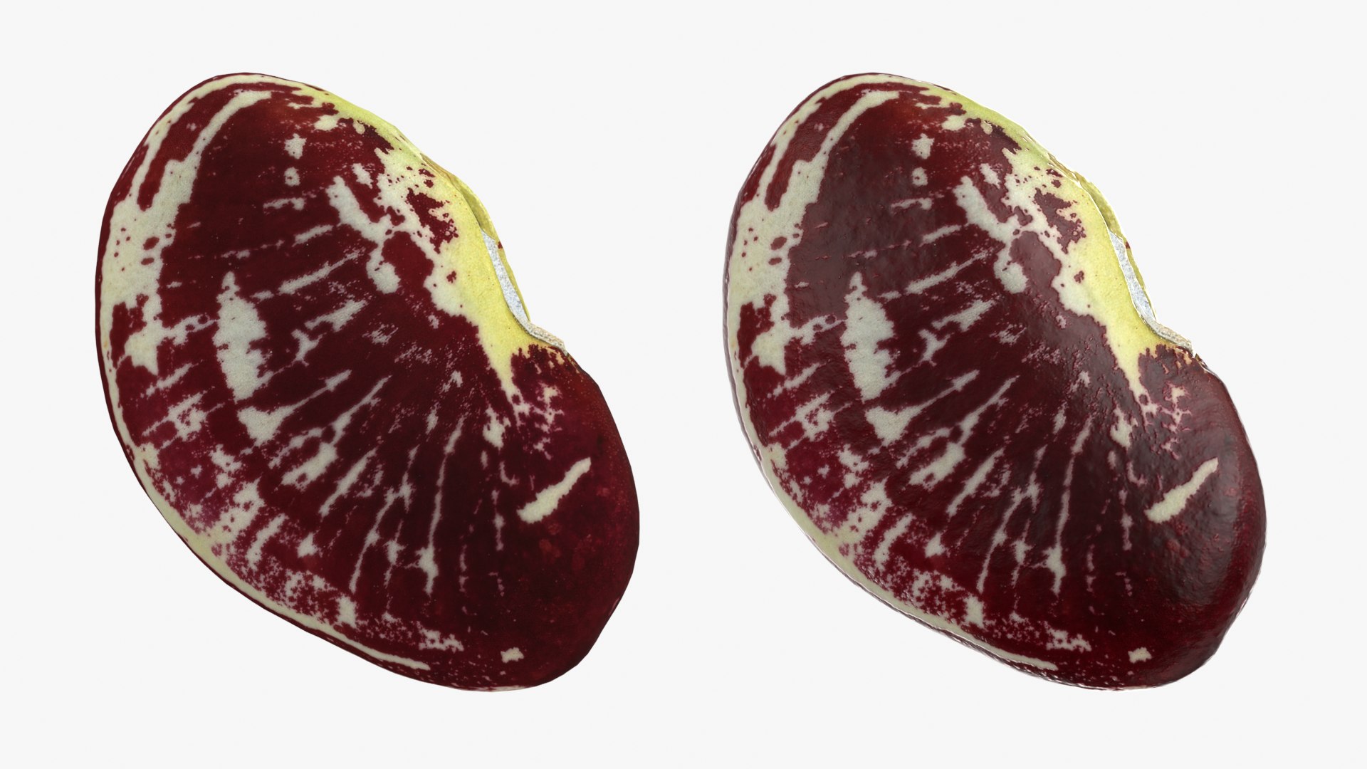 Beans - 3D Scanned Collection 3D model https://p.turbosquid.com/ts-thumb/us/tSFc0h/oX/christmaspolelima_0001b/png/1778171759/1920x1080/fit_q87/0743f34069c41764604b0ef46c72d0e37cd1e5d4/christmaspolelima_0001b.jpg