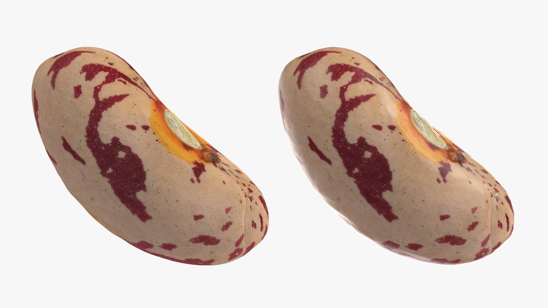 Beans - 3D Scanned Collection 3D model https://p.turbosquid.com/ts-thumb/us/tSFc0h/tf/pintobean01_0001b/png/1778171780/1920x1080/fit_q87/e9afad4911c0f01e8cf0bed53e6c9ba13c669845/pintobean01_0001b.jpg