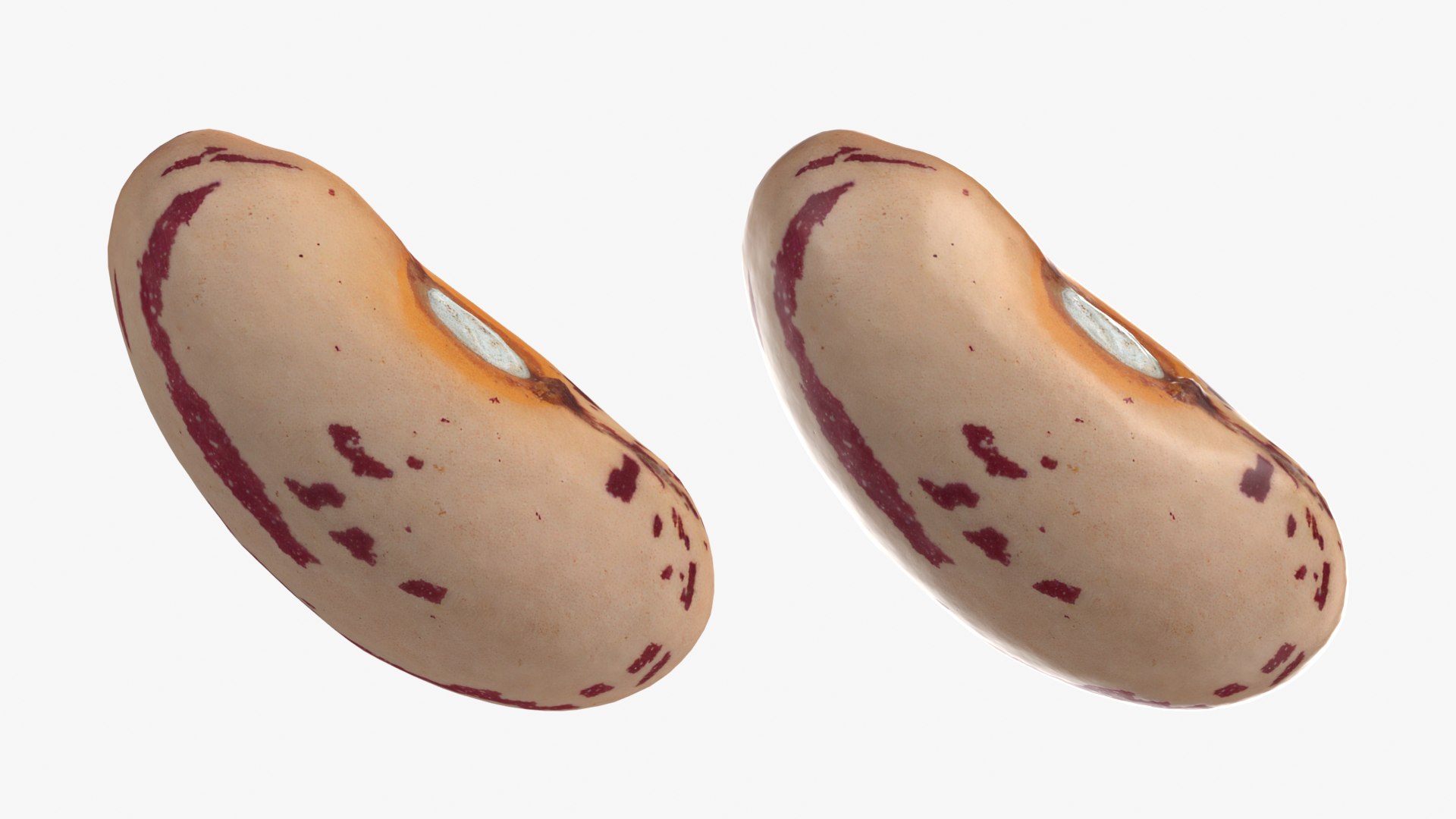 Beans - 3D Scanned Collection 3D model https://p.turbosquid.com/ts-thumb/us/tSFc0h/wE/pintobean02_0001b/png/1778171781/1920x1080/fit_q87/57803420b05b40bbd76ddc031d15622cbe00cde1/pintobean02_0001b.jpg
