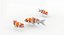 Koi Fish 1 (Animé)