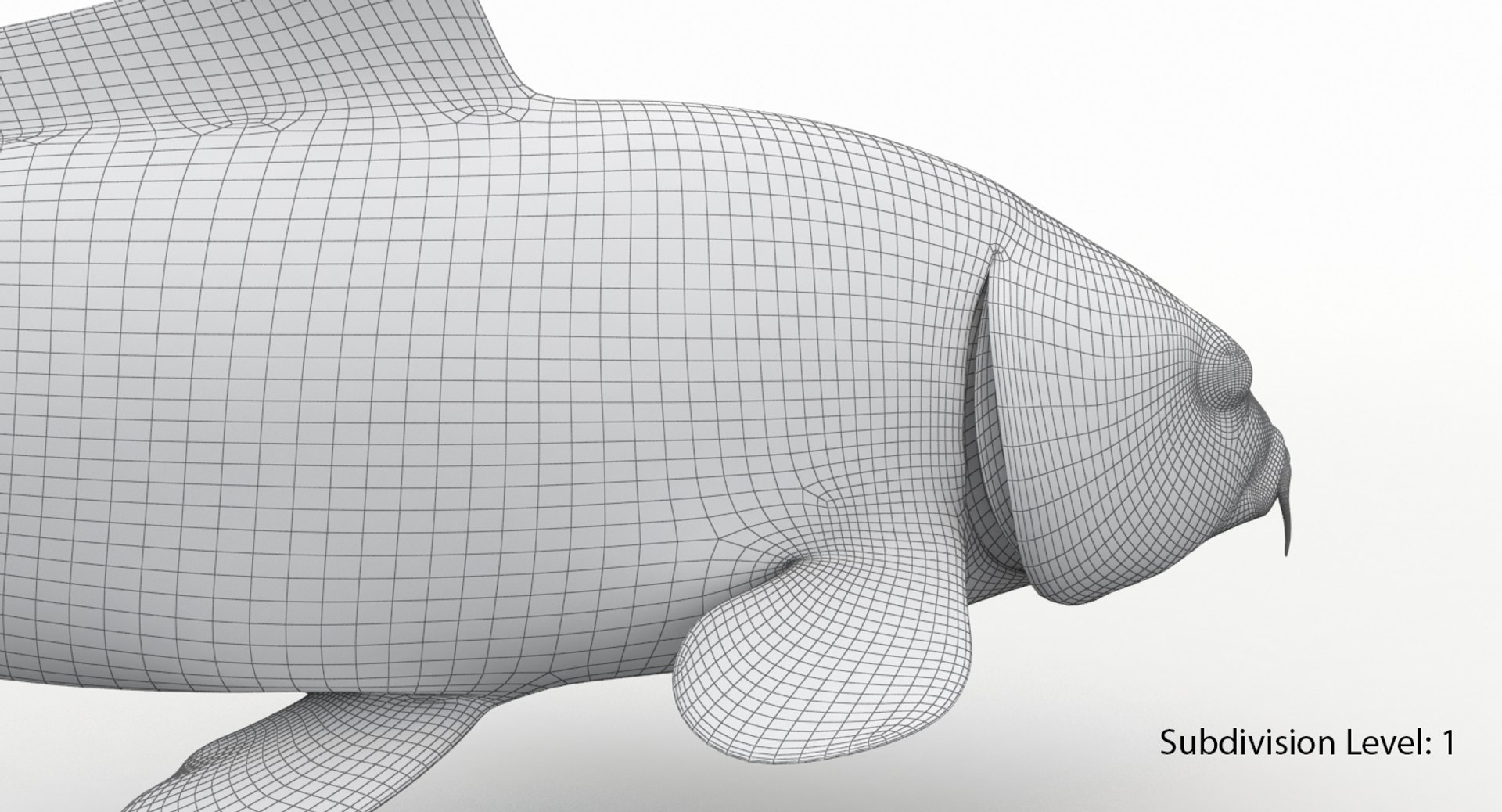 3D model koi fish animation https://p.turbosquid.com/ts-thumb/us/xKS5Da/1VHKr7WJ/k8/jpg/1558523302/1920x1080/fit_q87/093972d450a6c7f609366f42bf4eb1dc3089e563/k8.jpg
