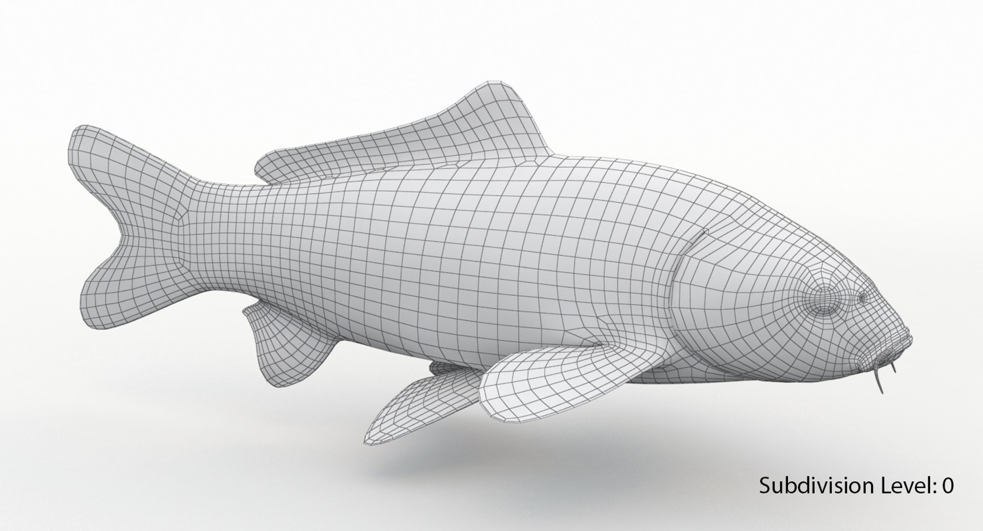3D model koi fish animation https://p.turbosquid.com/ts-thumb/us/xKS5Da/LwBBpefK/k6/jpg/1558523302/1920x1080/fit_q87/886f201fc759904ed5c9af81016a2179524d5254/k6.jpg